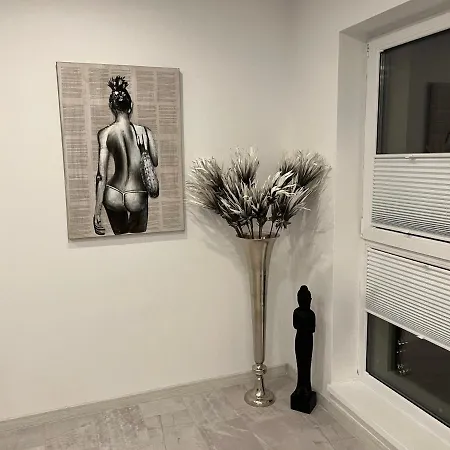 Stunning 3-room Penthouse Lakeview With Terrace