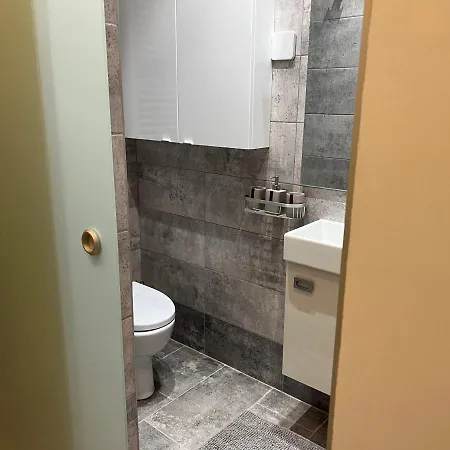 Stunning 3-room Penthouse Lakeview With Terrace * Bukurešť