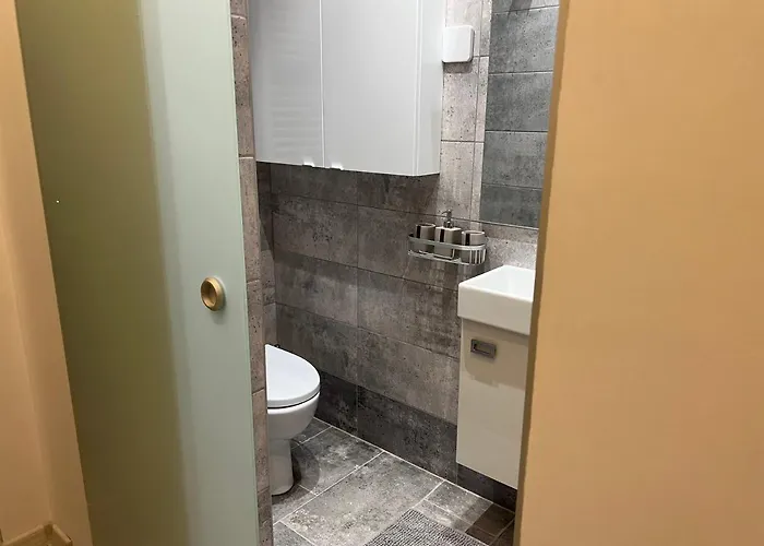 Stunning 3-room Penthouse Lakeview With Terrace * بوخارست