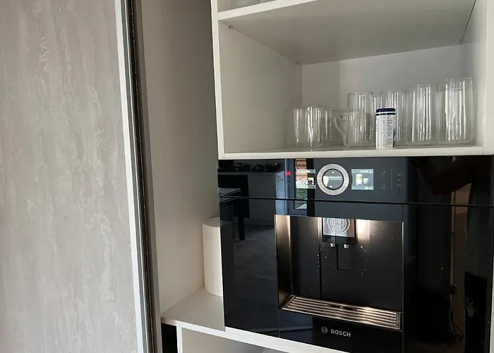 Stunning 3-room Penthouse Lakeview With Terrace *