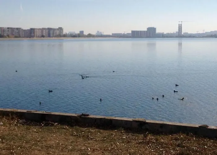 Stunning 3-room Penthouse Lakeview With Terrace