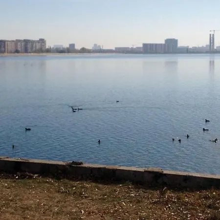 Stunning 3-room Penthouse Lakeview With Terrace